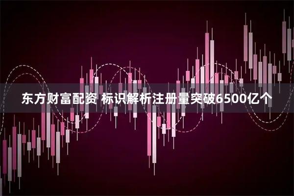东方财富配资 标识解析注册量突破6500亿个