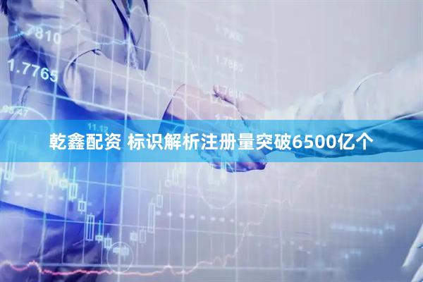 乾鑫配资 标识解析注册量突破6500亿个