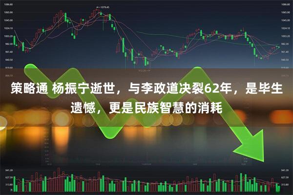 策略通 杨振宁逝世，与李政道决裂62年，是毕生遗憾，更是民族智慧的消耗