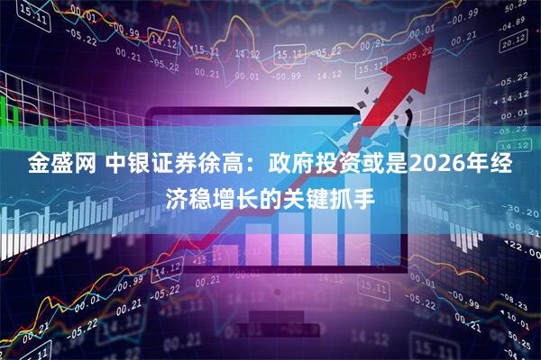 金盛网 中银证券徐高：政府投资或是2026年经济稳增长的关键抓手
