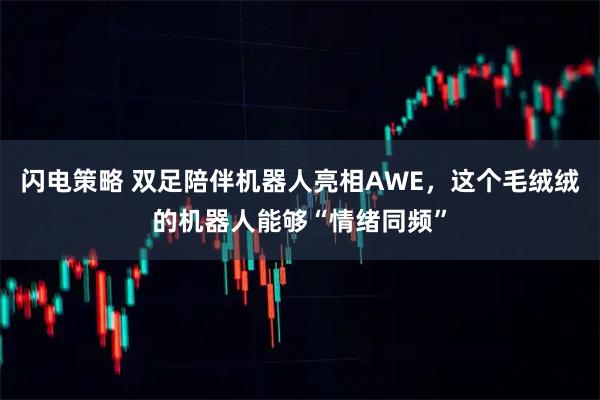 闪电策略 双足陪伴机器人亮相AWE，这个毛绒绒的机器人能够“情绪同频”